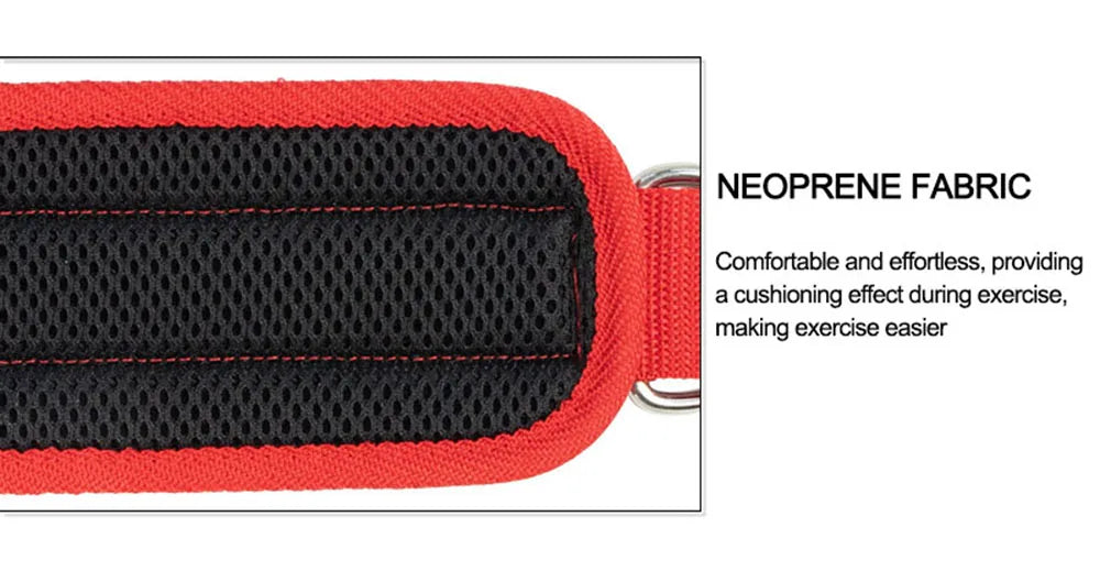 Ankle Strap – Single Unit | Cable & Resistance Training