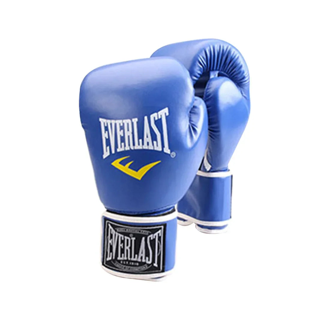 Everlast Training Boxing Gloves (6oz–12oz) – Free Shipping